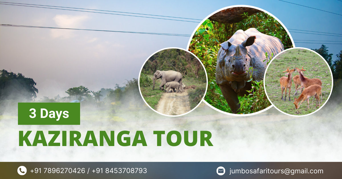 kaziranga tours and travels